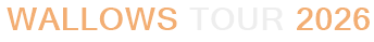 Wallows Tour 2026
